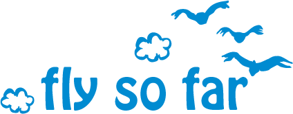 一般社団法人　fly so far