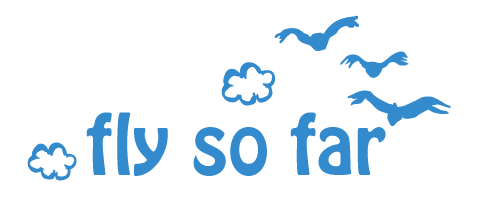 一般社団fly so far